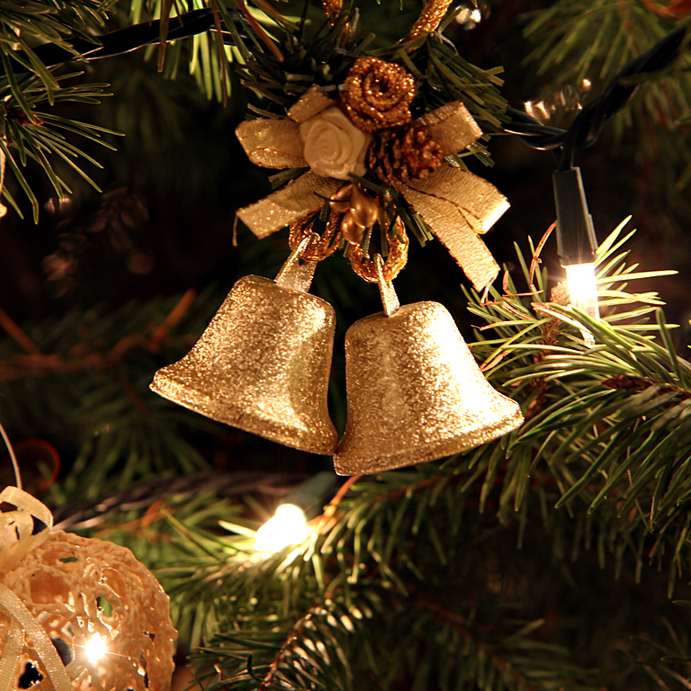 IMG_0075.png