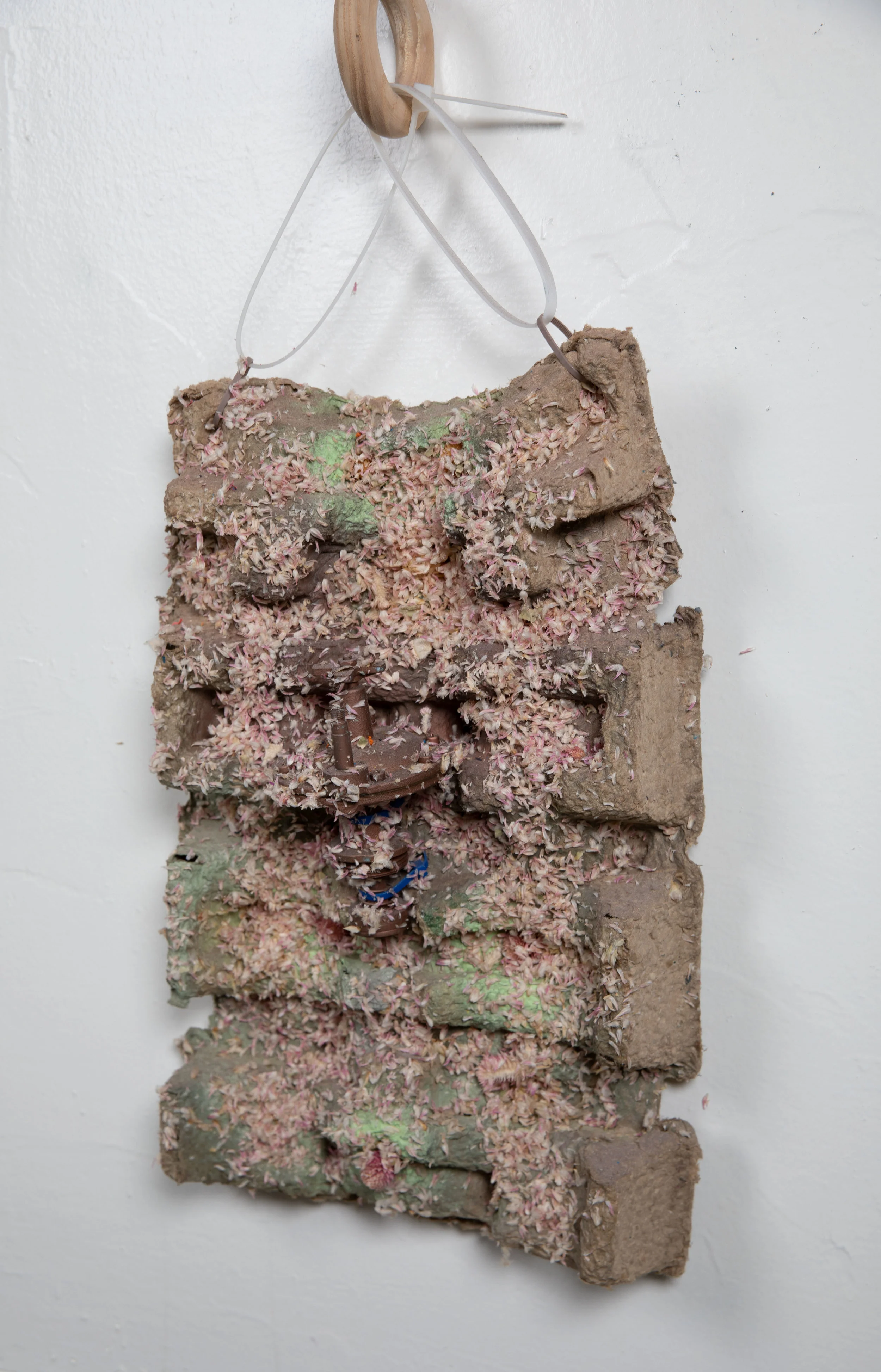 untitled-306.jpg