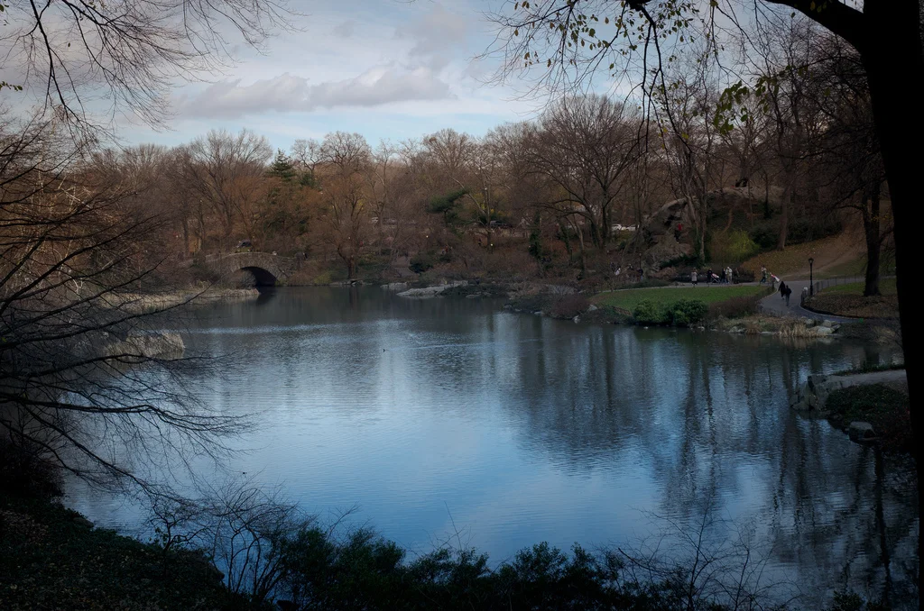 Central Park