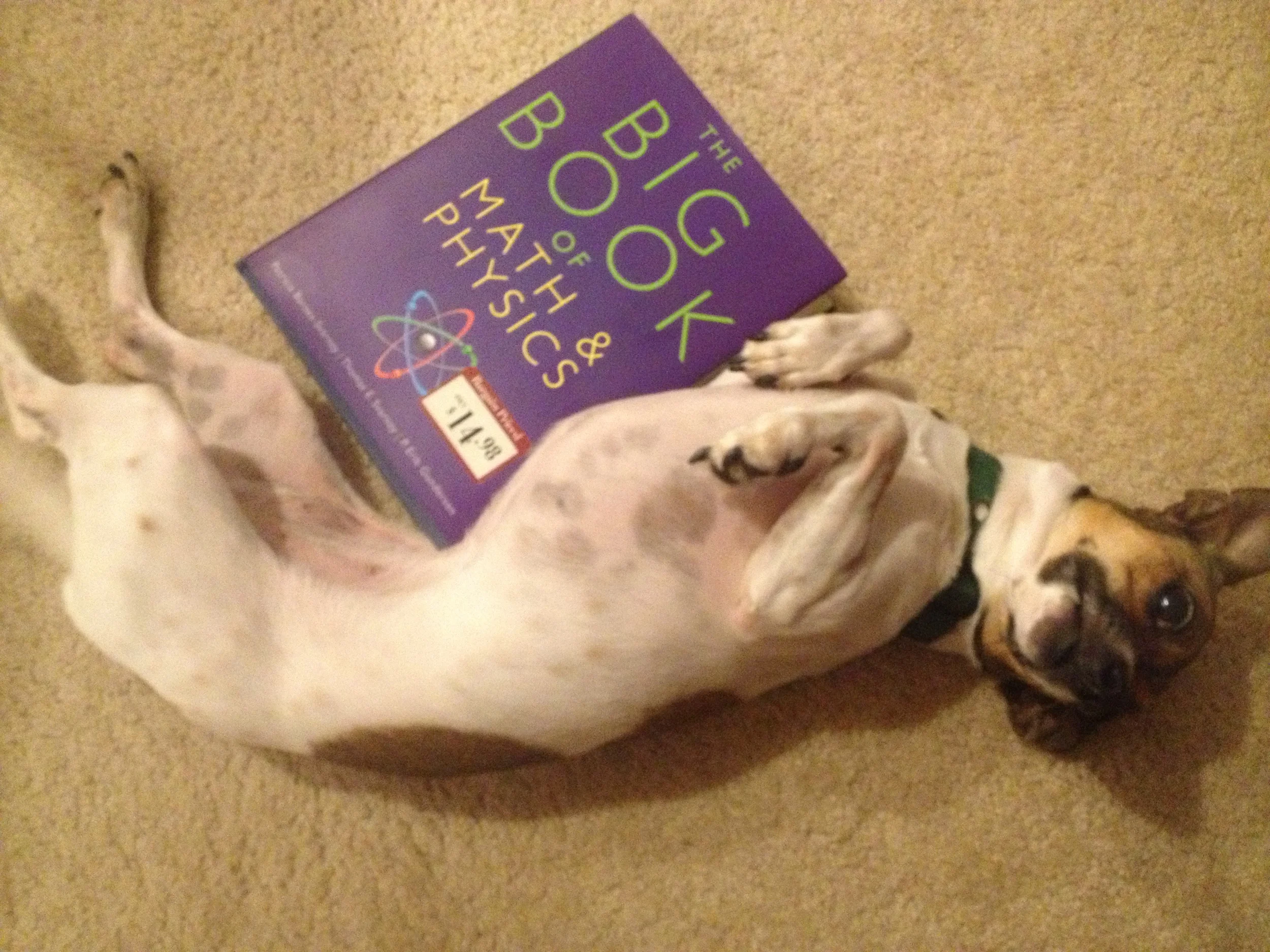 My dog Leia is only 2, so she counts as a young geek.