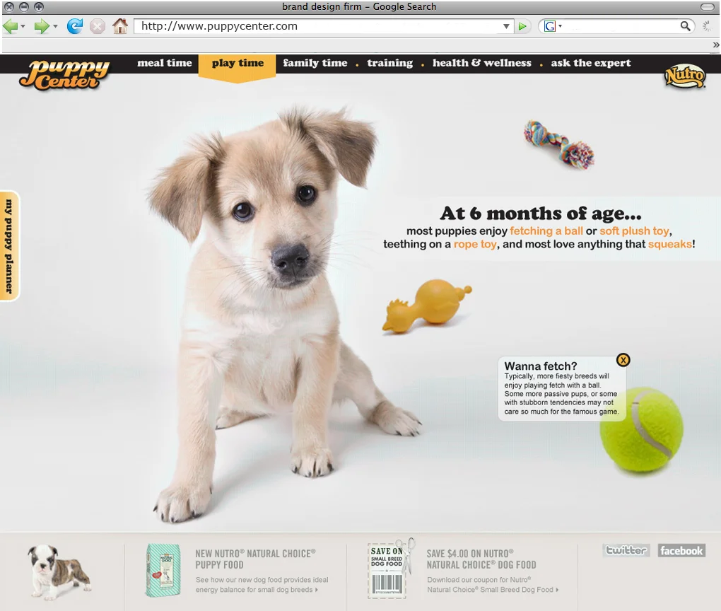nutro puppy 4.jpg