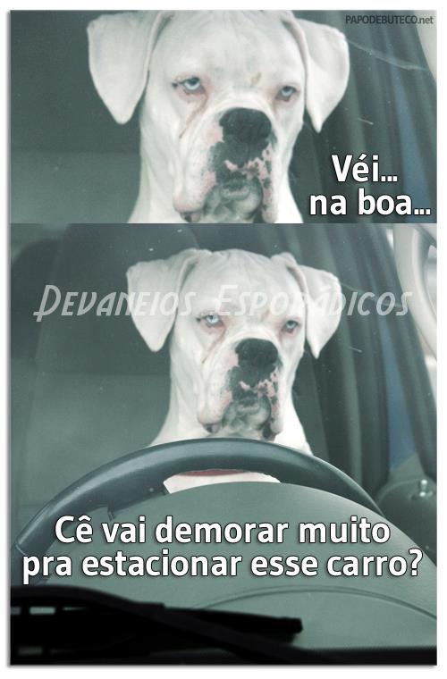 devaneios+esporadicos+vei+na+boa+vai+demorar+muito+para+estacionar+carro.jpg