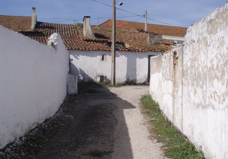 caiar2.jpg