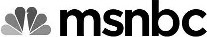 MSNBC logo.jpeg