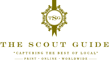 The Scout Guide