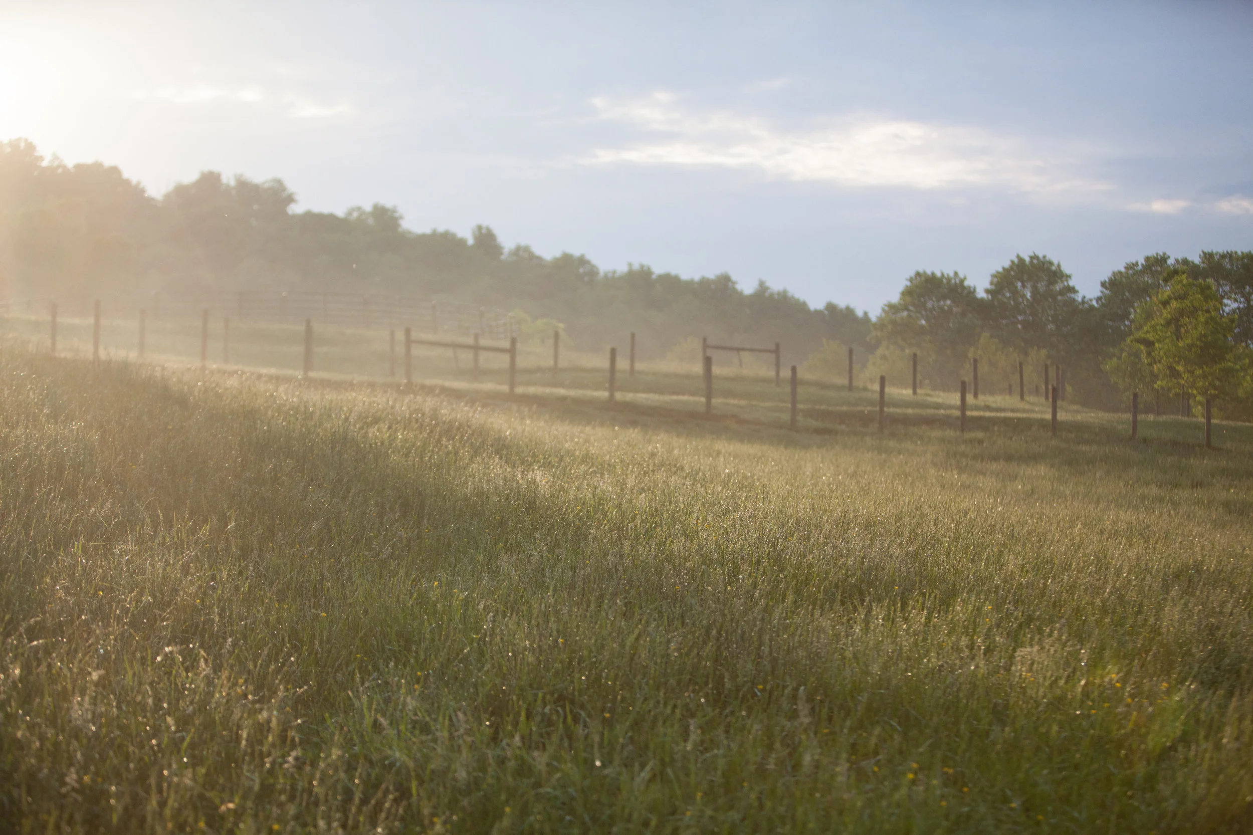 HighlandOrchard-0074.jpg