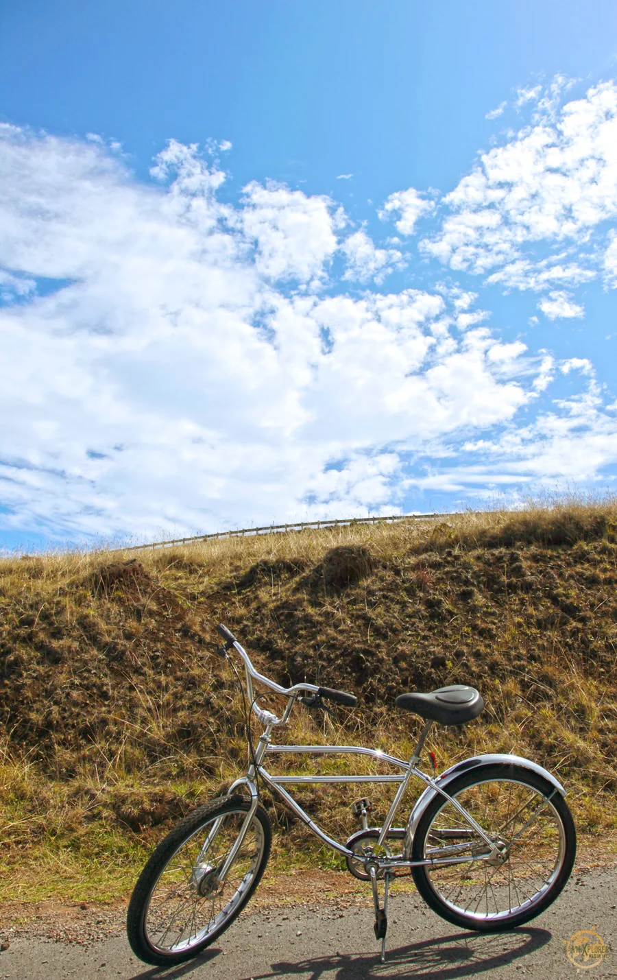 Their small fleet of downhill bikes, produced in the United States by Worksman Cycles, are constantly being cared for are and checked for safety.