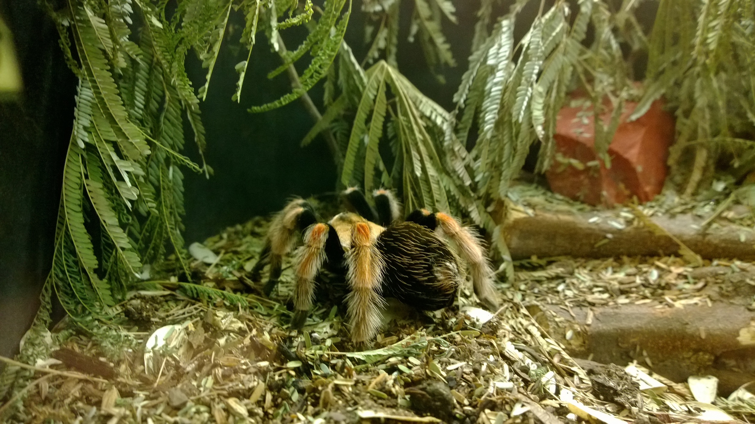 Windows Phone_20130831_12_19_07_Pro.jpg