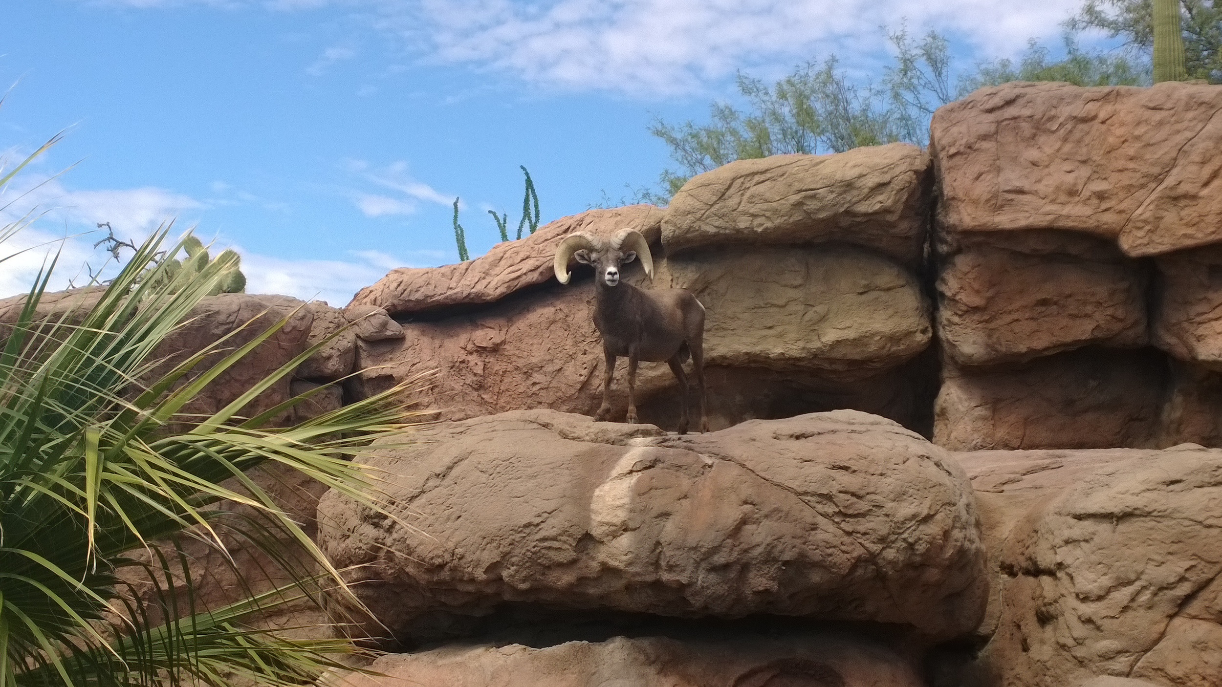 Windows Phone_20130831_14_03_53_Pro.jpg
