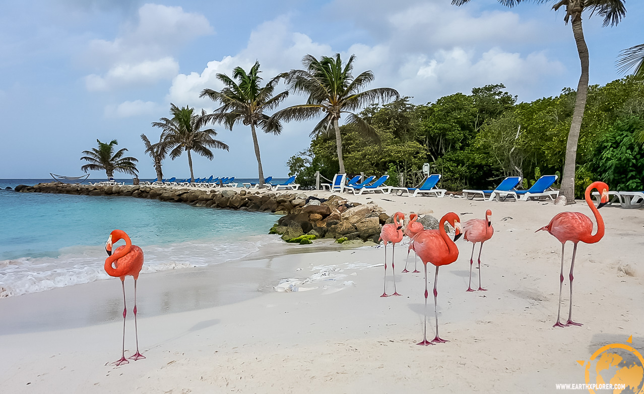 JDAndrews Aruba-39.jpg