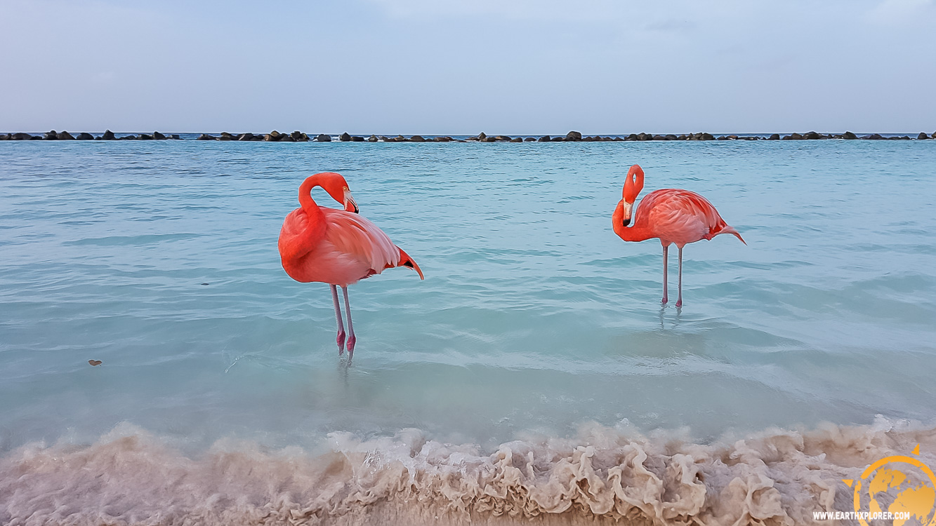 JDAndrews Aruba-30.jpg