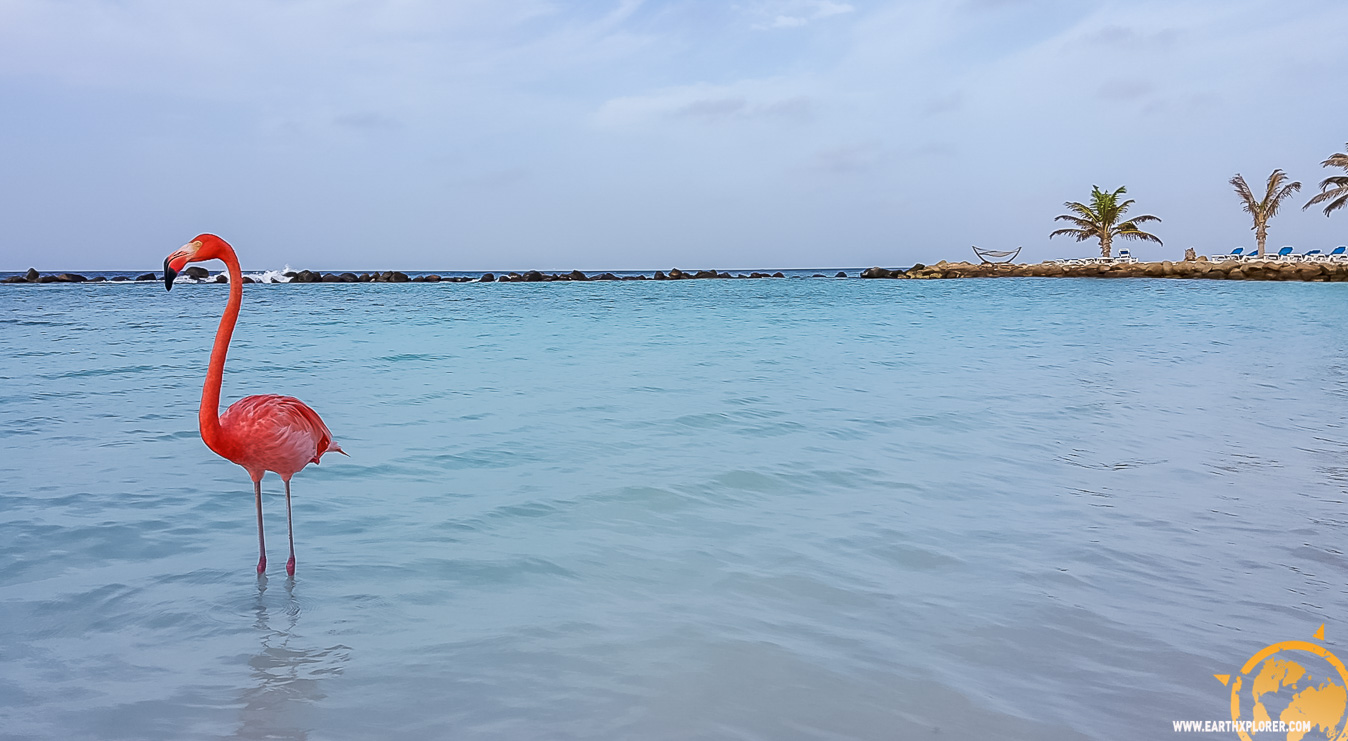 JDAndrews Aruba-31.jpg