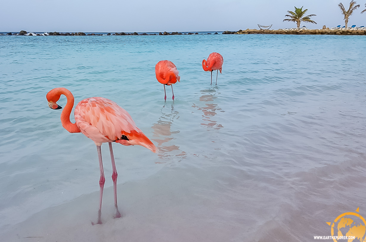 JDAndrews Aruba-27.jpg