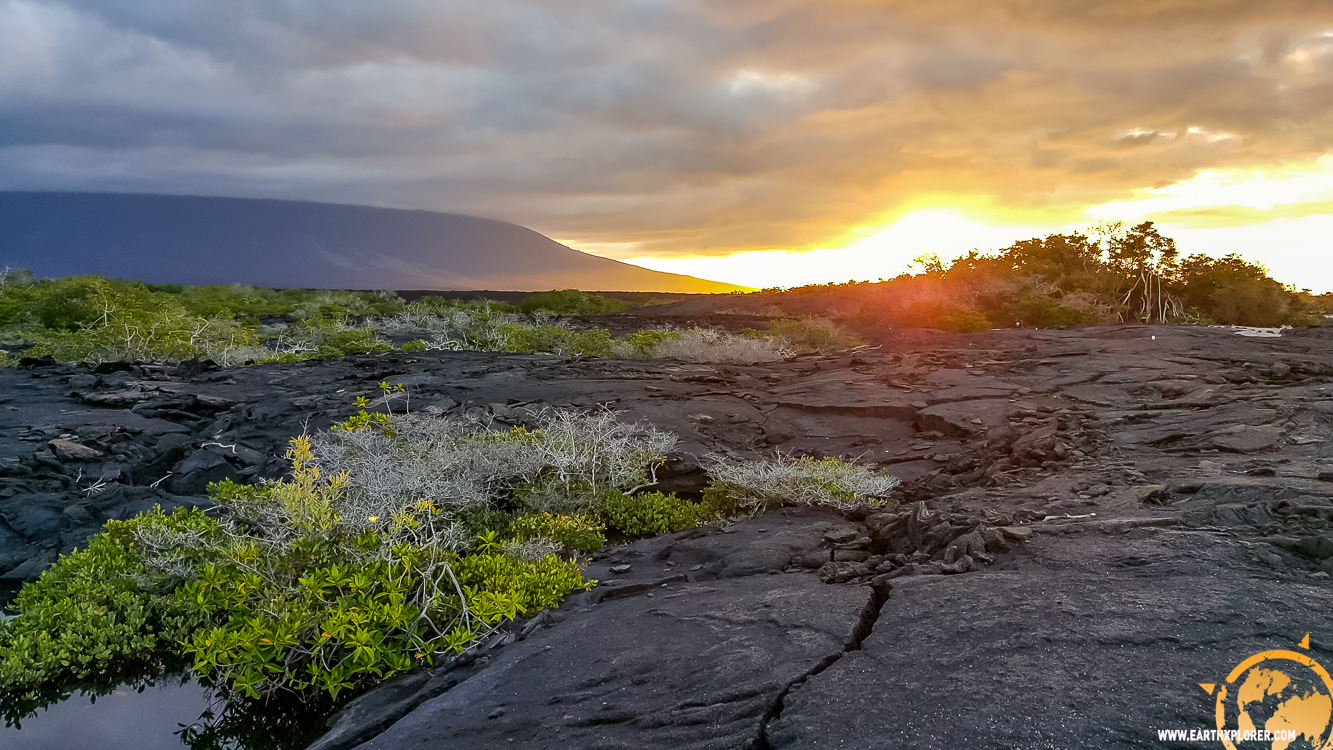 JDAndrews Galapagos-18.jpg