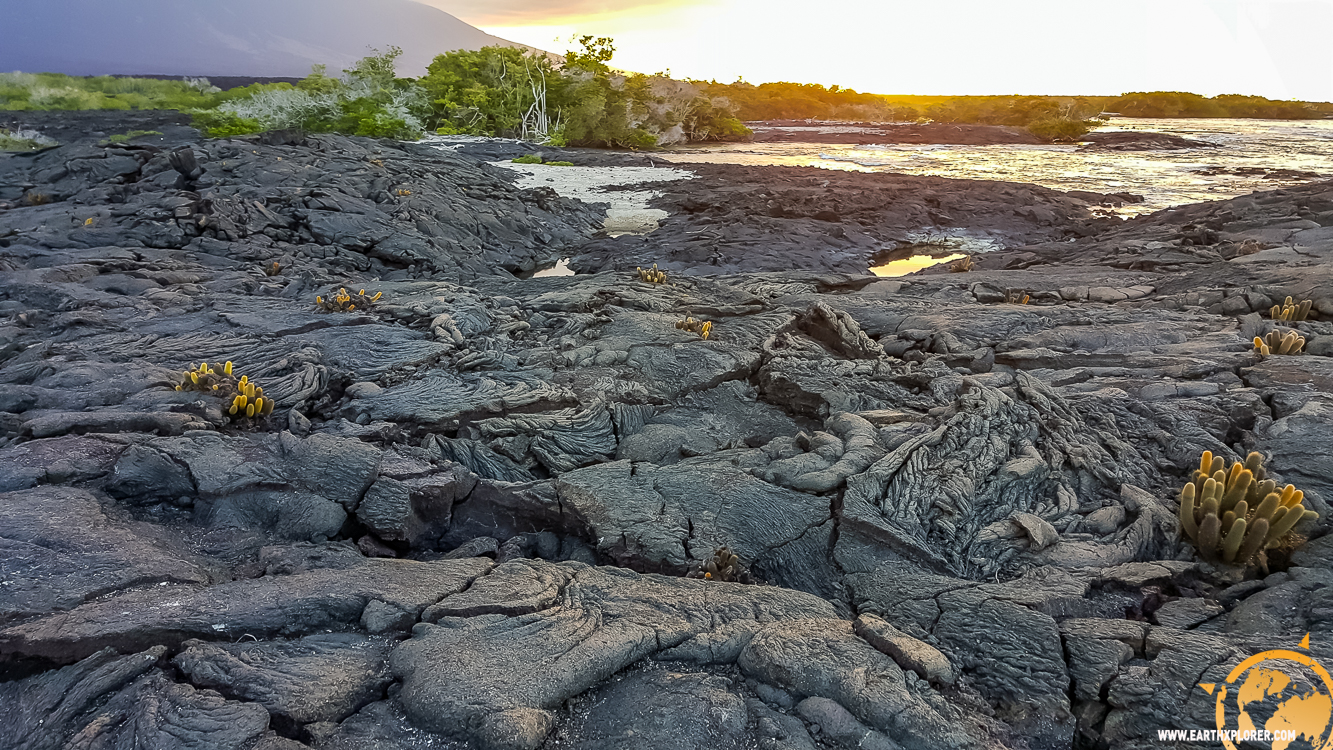 JDAndrews Galapagos-12.jpg