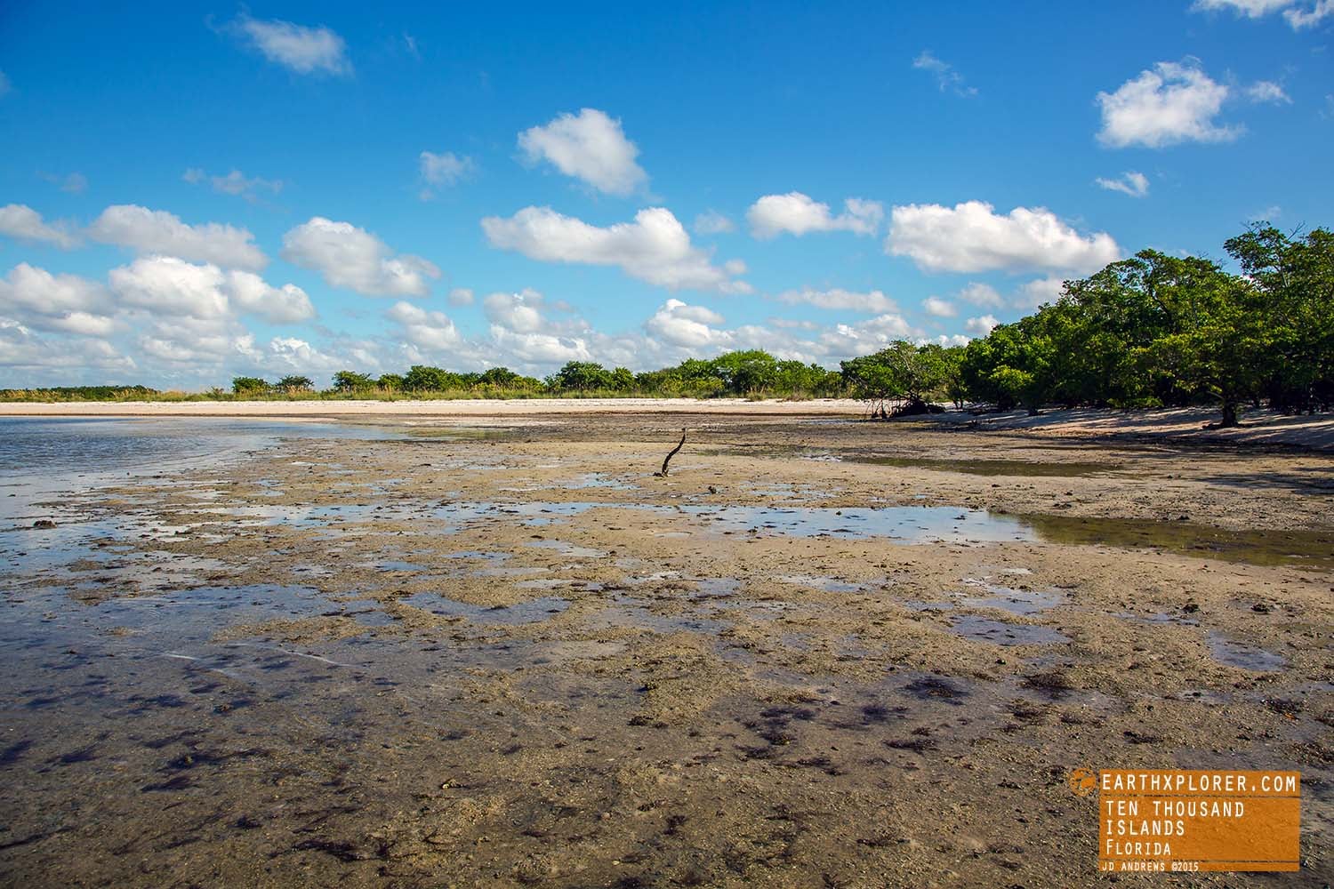 Tides Out Ten Thousand Islands Florida.jpg