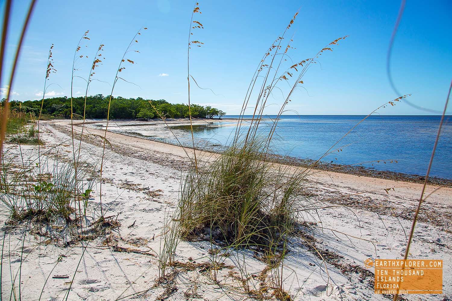 On the Beach Ten Thousand Islands Florida.jpg