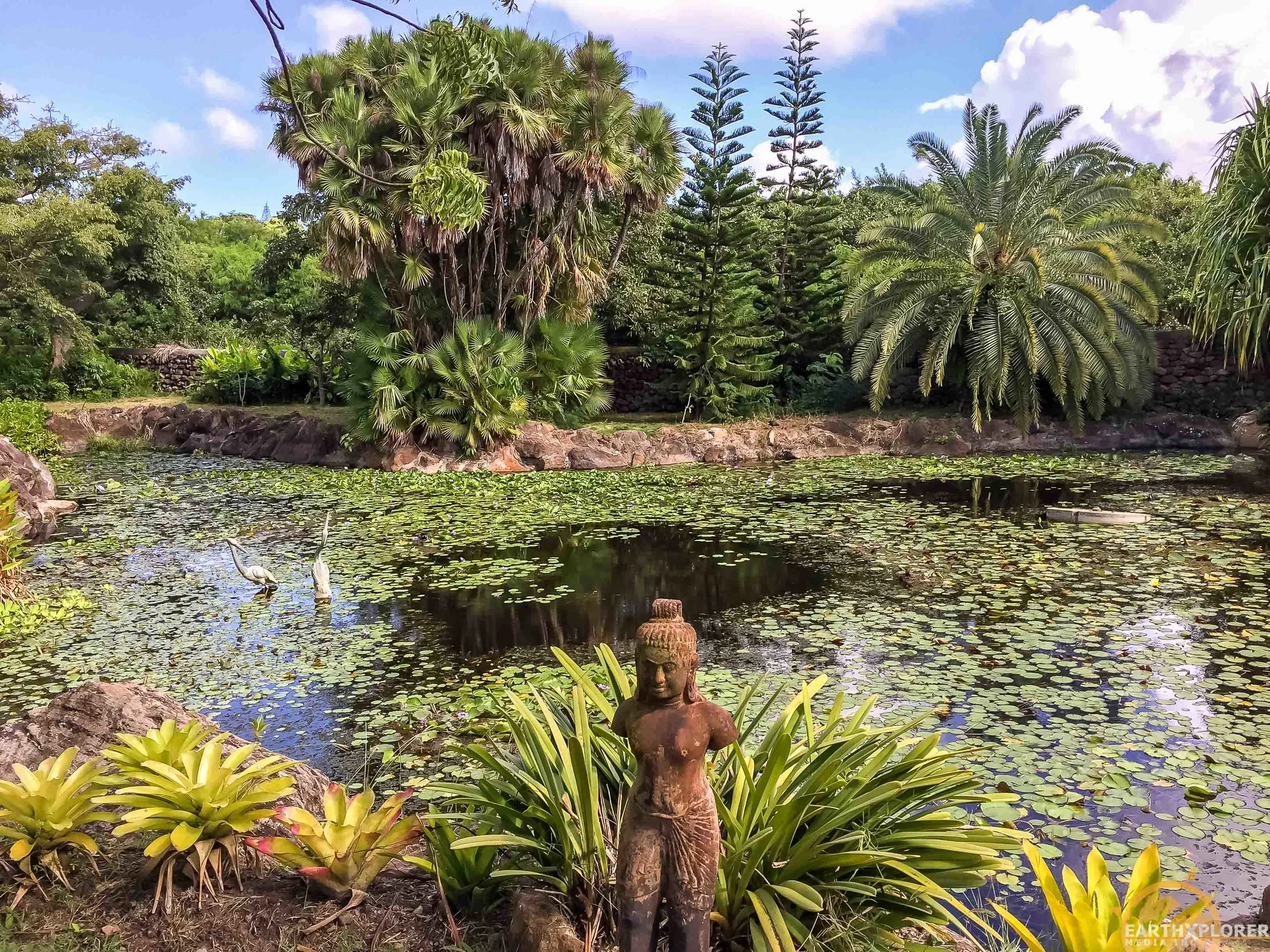 Nevis Botanical Gardens earthXplorer-10.jpg
