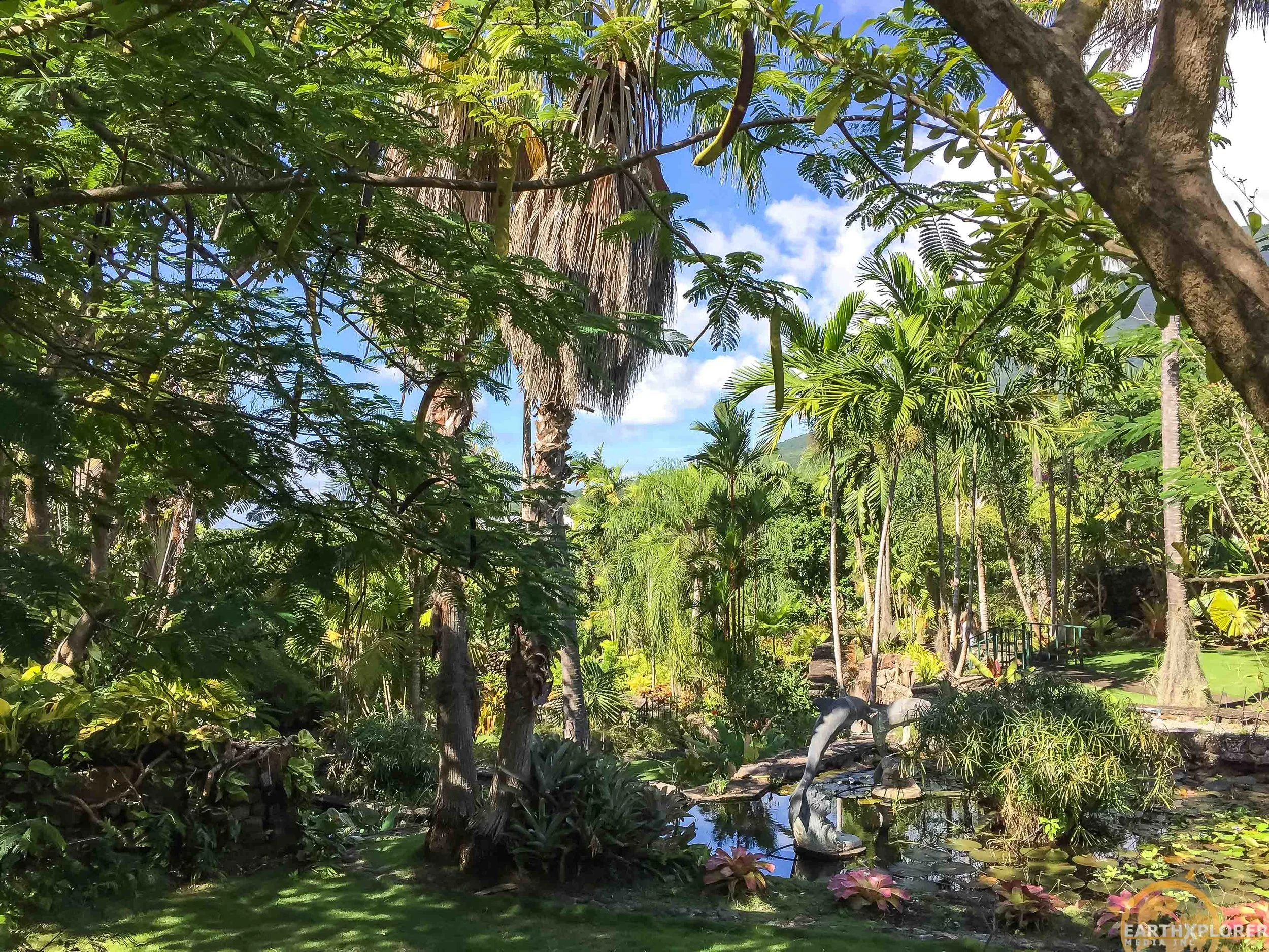 Nevis Botanical Gardens earthXplorer-9.jpg