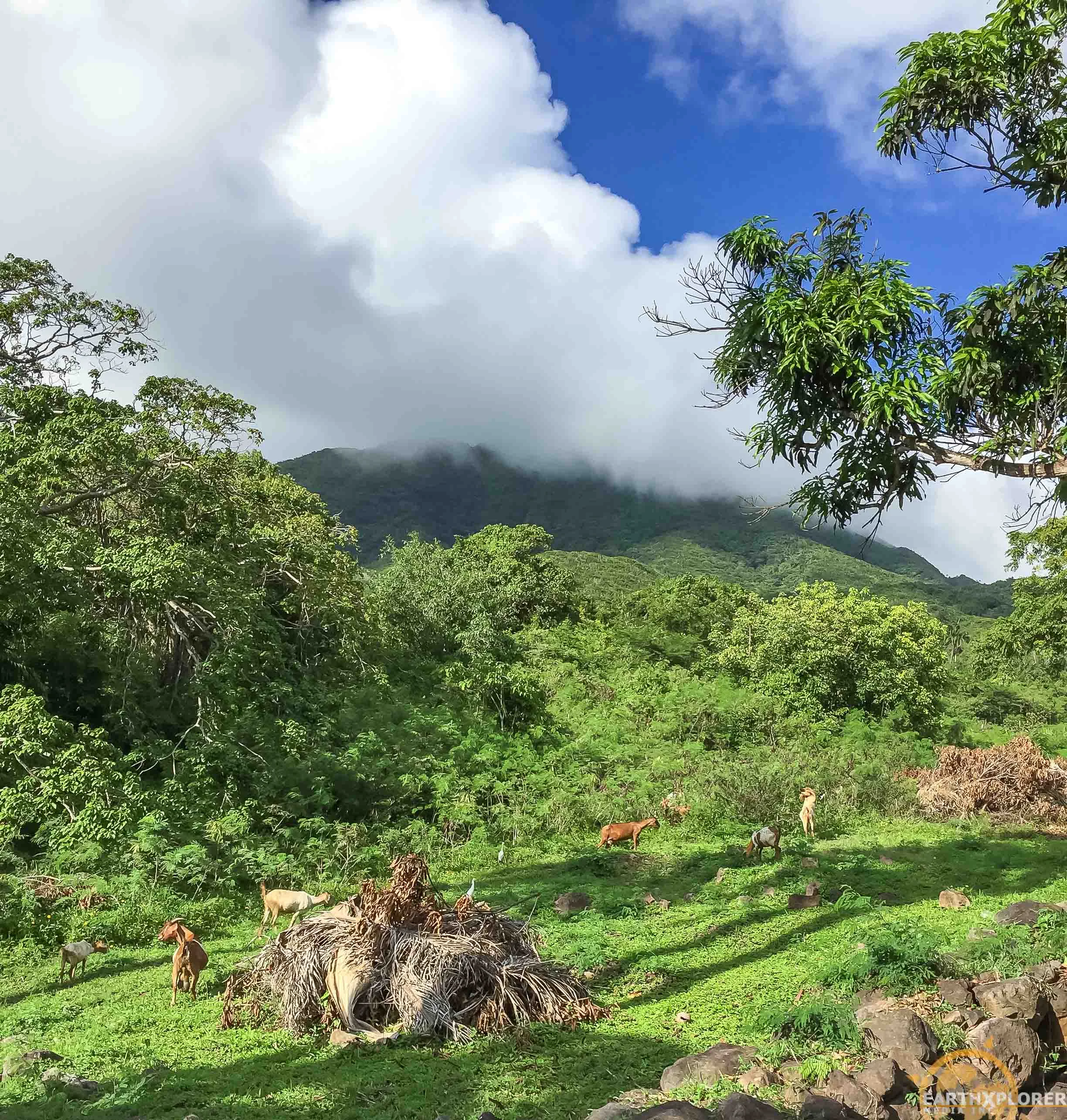 Nevis Hermitage earthXplorer-5.jpg