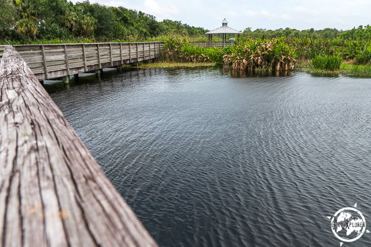 Boynton Beach 2017 earthXplorer-1-11.jpg