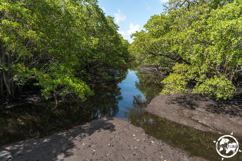 Boynton Beach 2017 earthXplorer-1-39.jpg