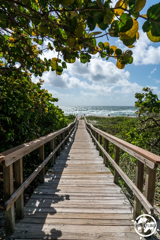 Boynton Beach 2017 earthXplorer-1-32.jpg
