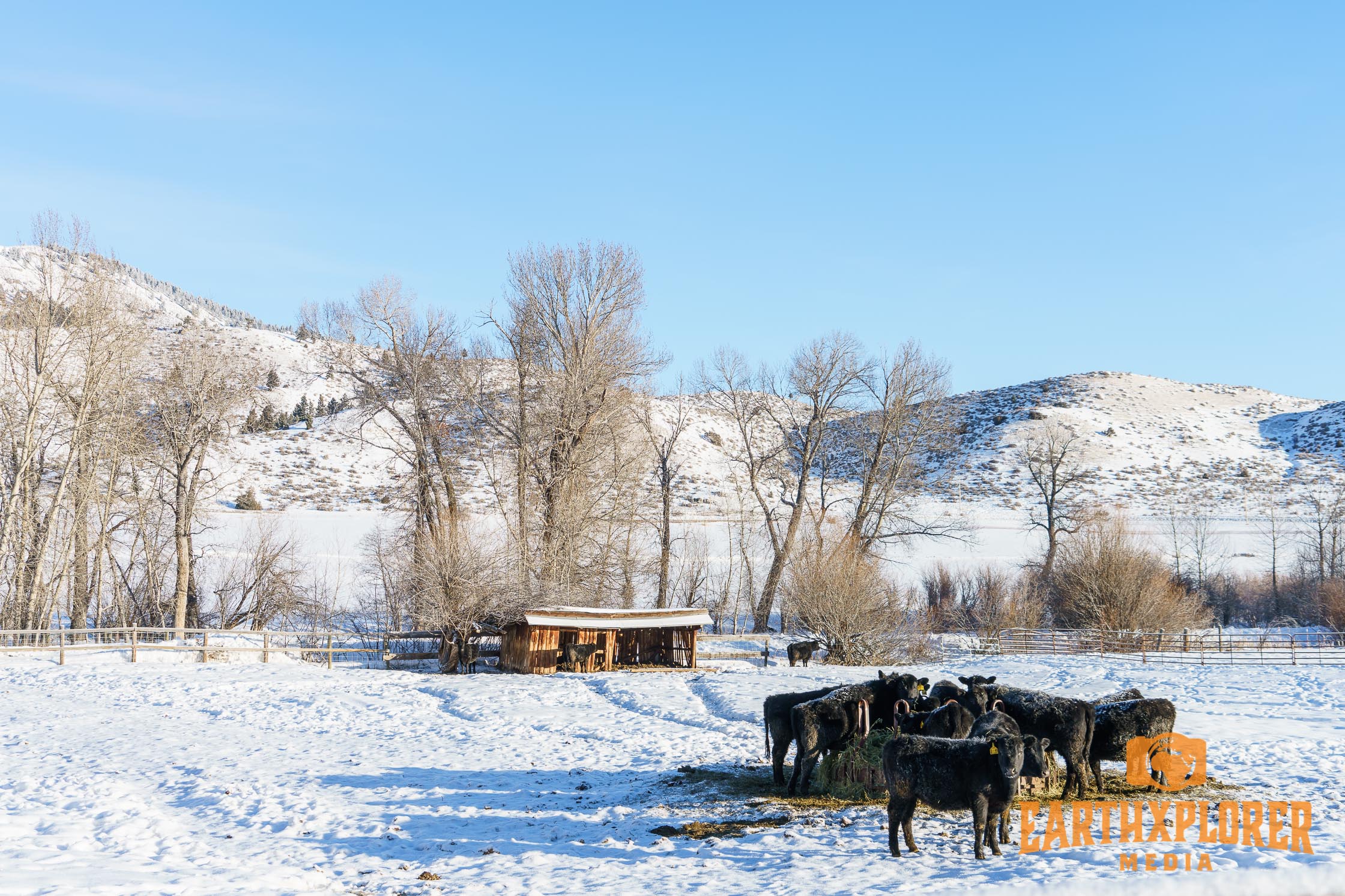 G Bar M Ranch Montana-19.jpg