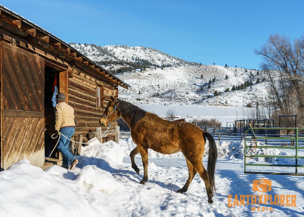 G Bar M Ranch Montana-36.jpg