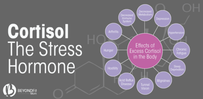 Cortisol.png