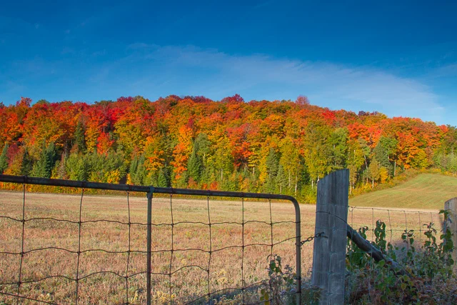 Amazing fall colours off Highway 62, south of Maynooth
