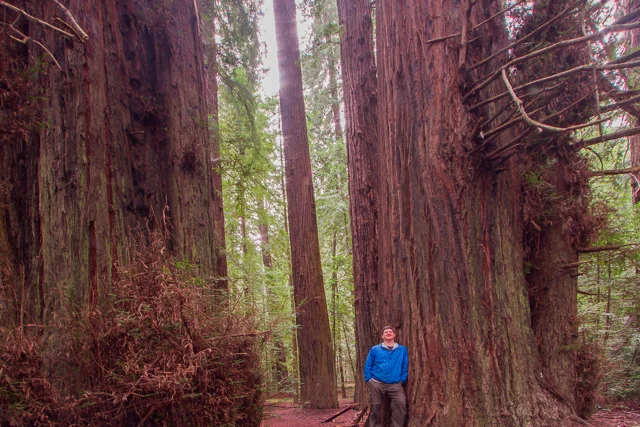 Avenue of the Giants - Franklin K. Lane Grove, California, Canon 7D with Canon EF-S 10-22mm @ 10mm, 20s @ f/16, ISO 100