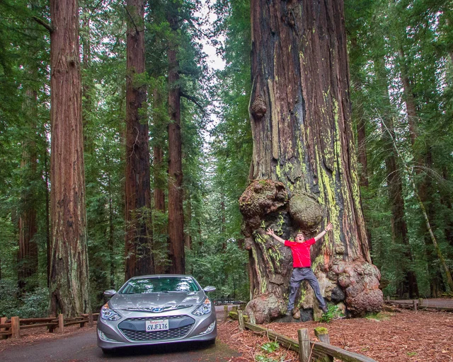 Richardson Grove State Park, California, Canon 7D with Canon EF-S 10-22mm @ 10mm, 1/50s @ f/4.5, ISO 3200