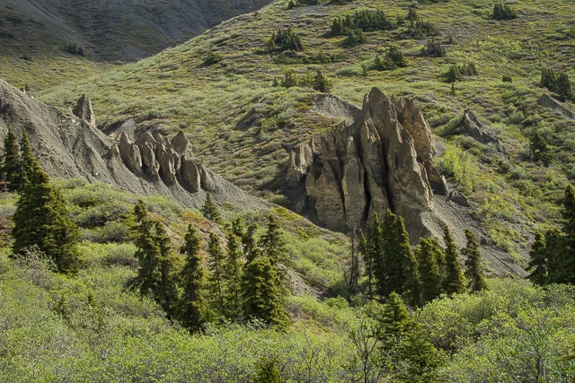 Sheep Creek trail, Kluane National Park, Yukon, Canon 7D with Canon EF 28-300mm @ 50mm, 1/25s @ f/16, ISO 100