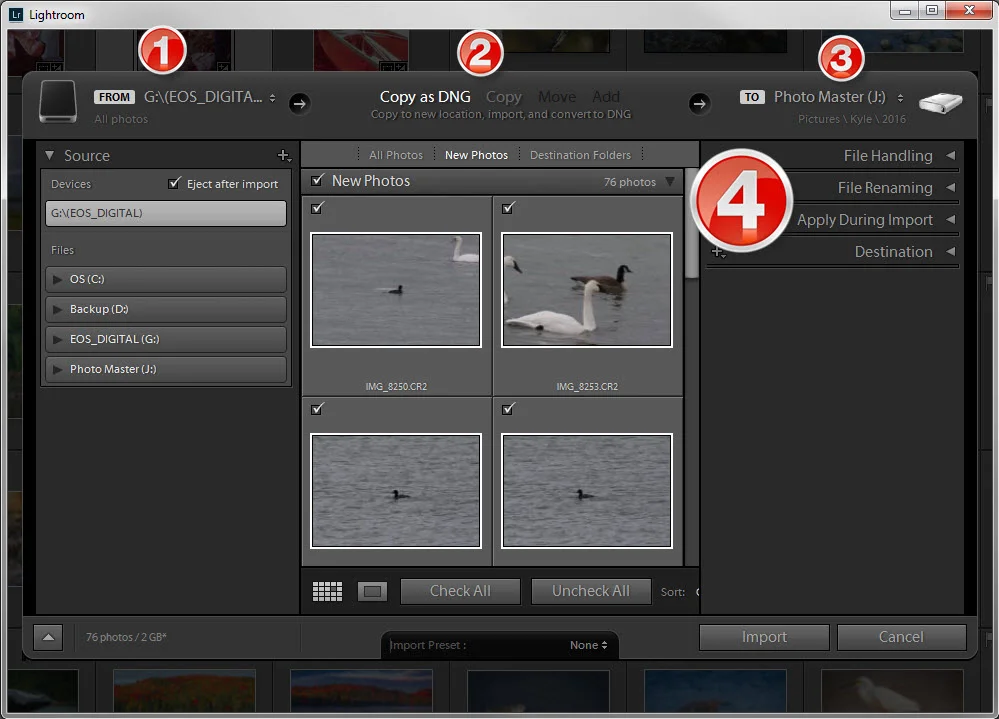 Adobe Lightroom's IMPORT DIALOG