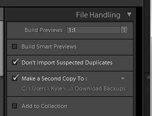 Adobe Lightroom's Import Dialog: FILE HANDLING PANEL