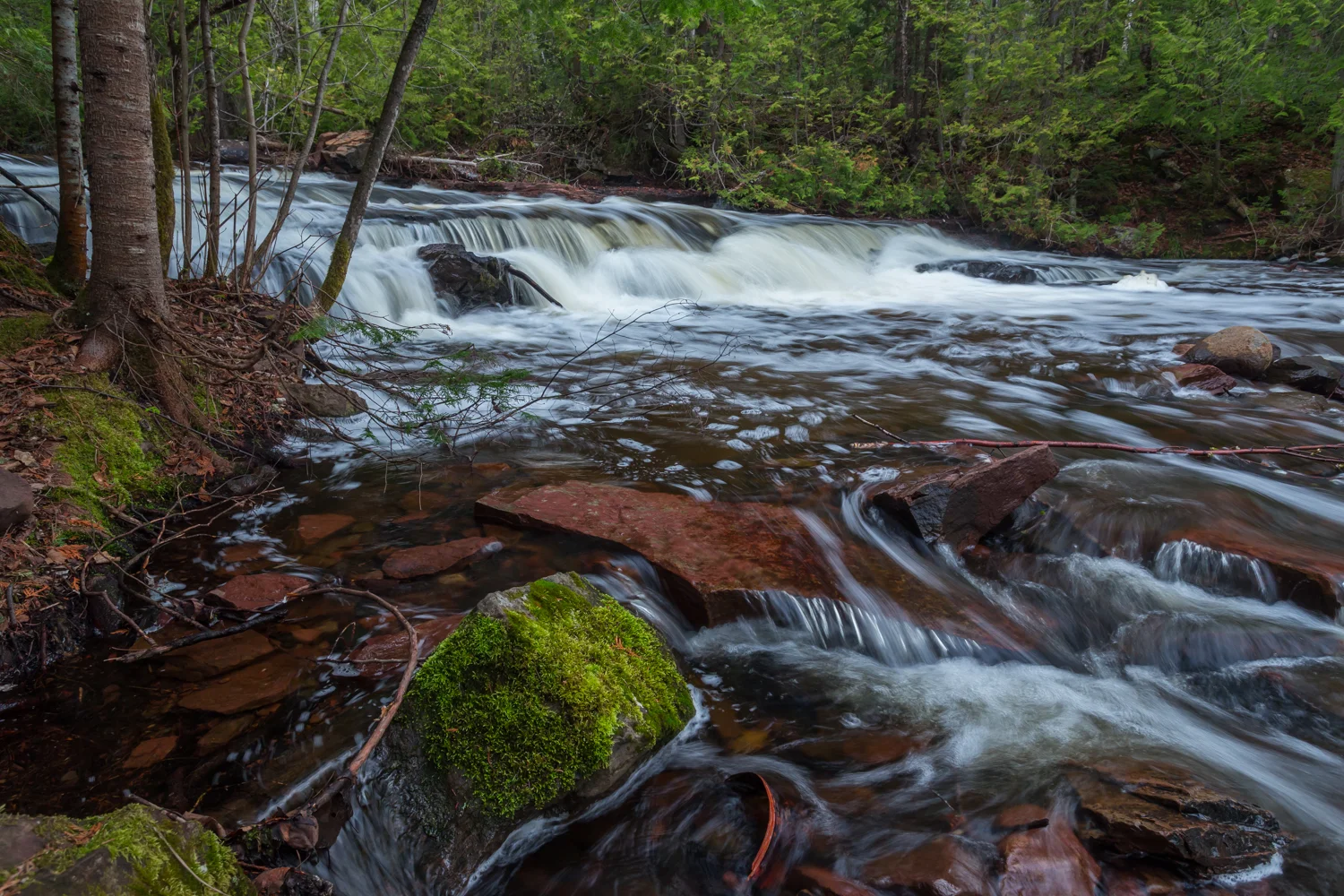 MOVEMENT: F/13; 1/6 SECOND; ISO 800