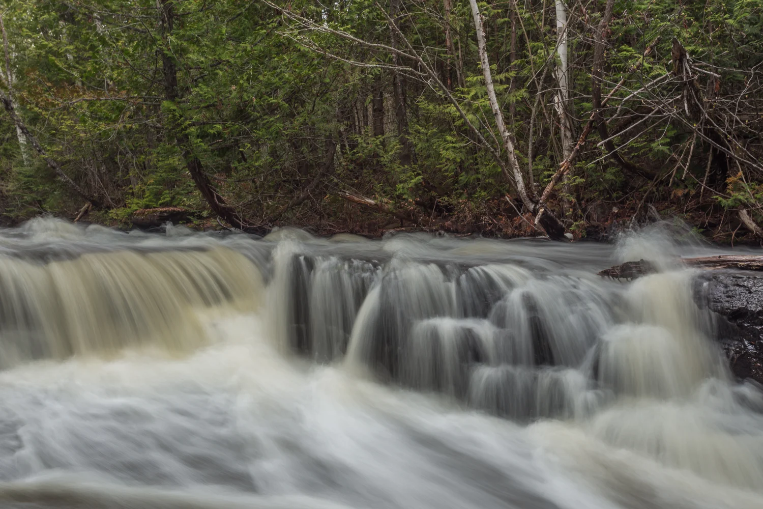 MOVEMENT: F/13; 1/2 SECOND; ISO 100