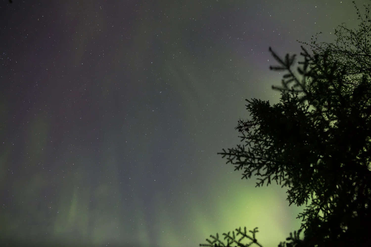 Northern Lights, Quetico Provincial Park, Ontario (10s exposure; f/2.8; ISO 1600)