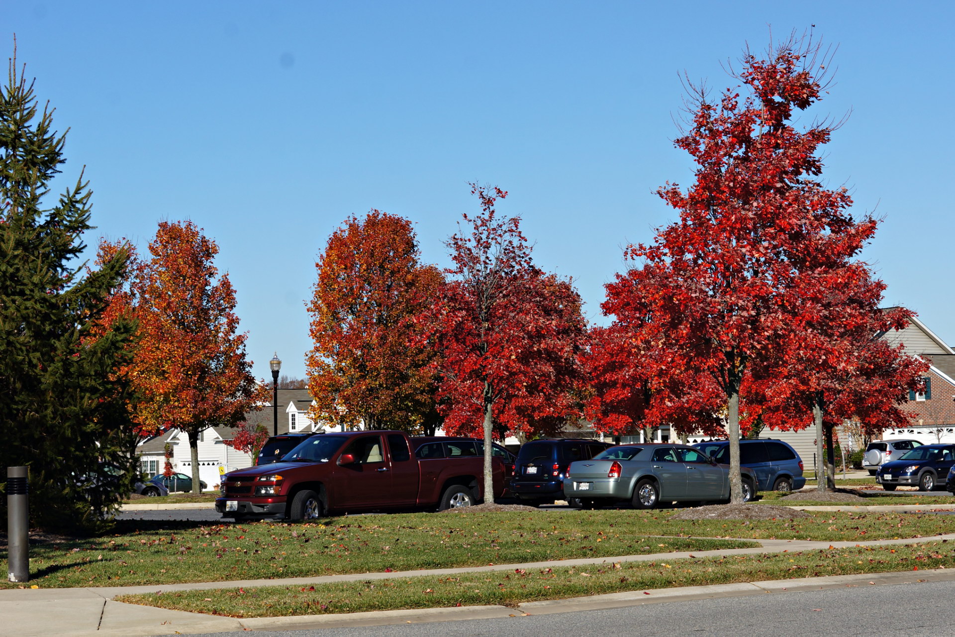 Club House parking.jpg