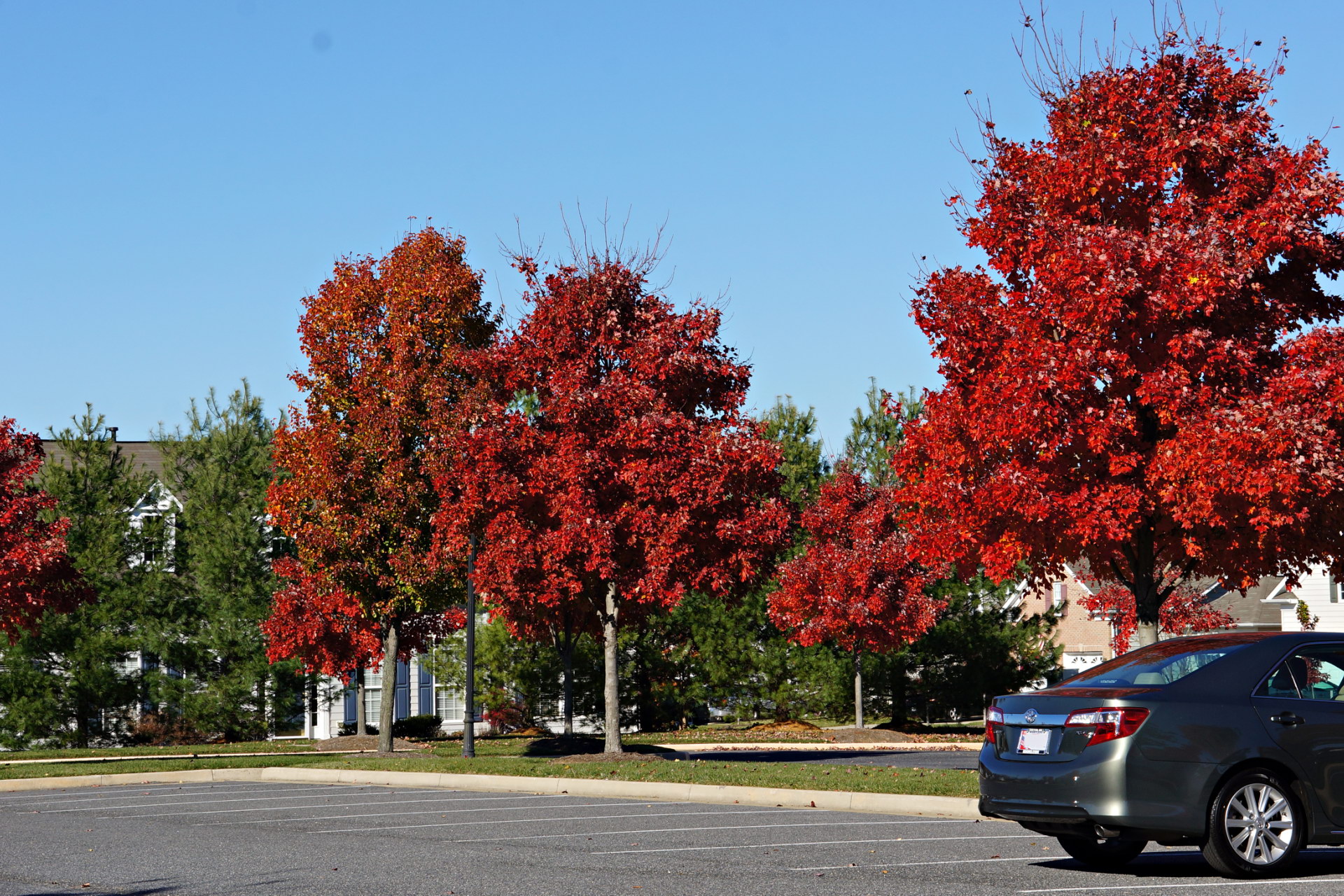 parking lot.jpg