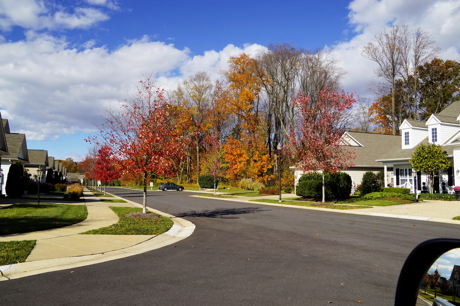 DSC01250 r pc_resize.JPG