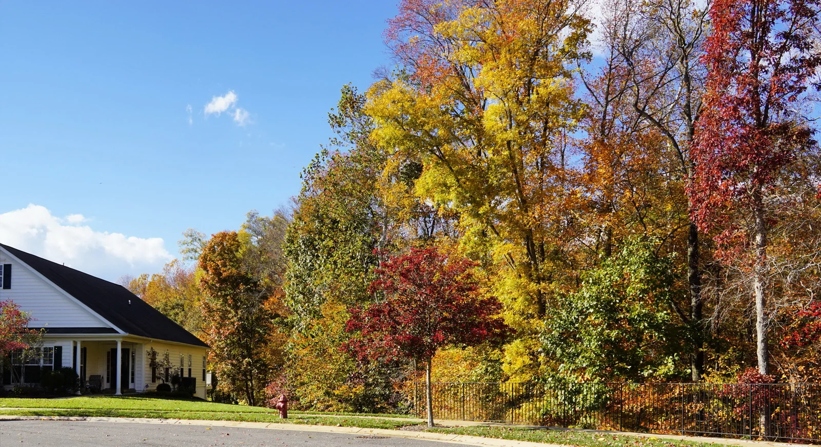 DSC01266 r pc_resize.JPG