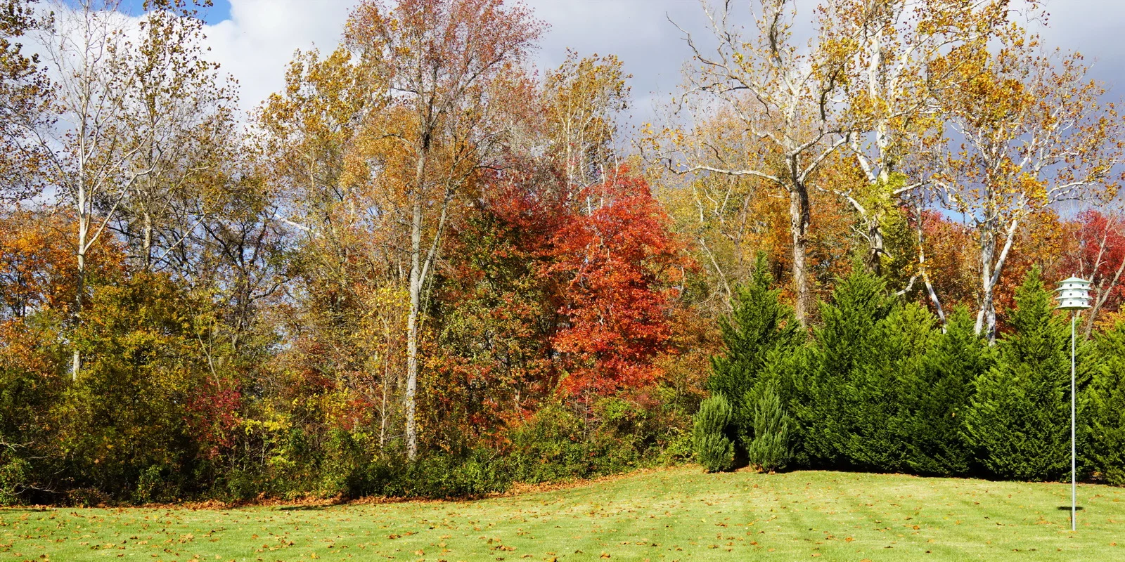 DSC01331 c pc_resize.JPG