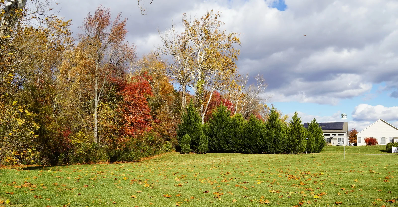 DSC01361c pc_resize.JPG