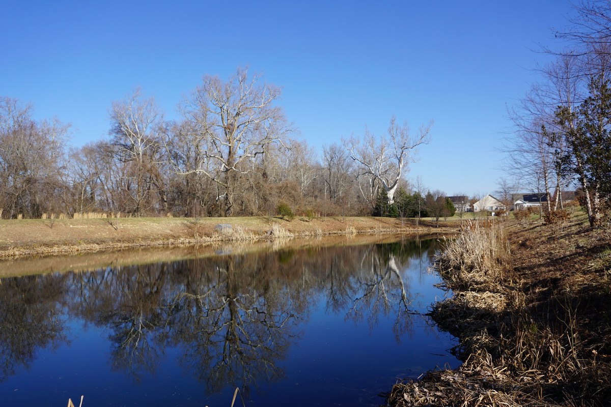 Storm water reflection 2.JPG