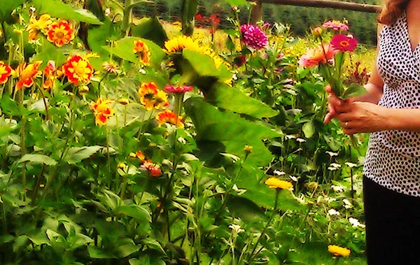 picking-flowers.jpg