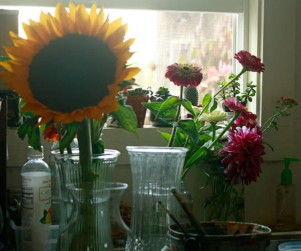 sunflower-in-a-window.jpg