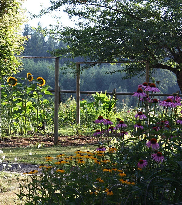 snny_garden.jpg