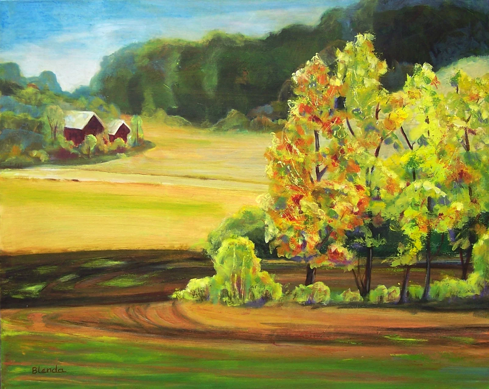 landscape1.jpg